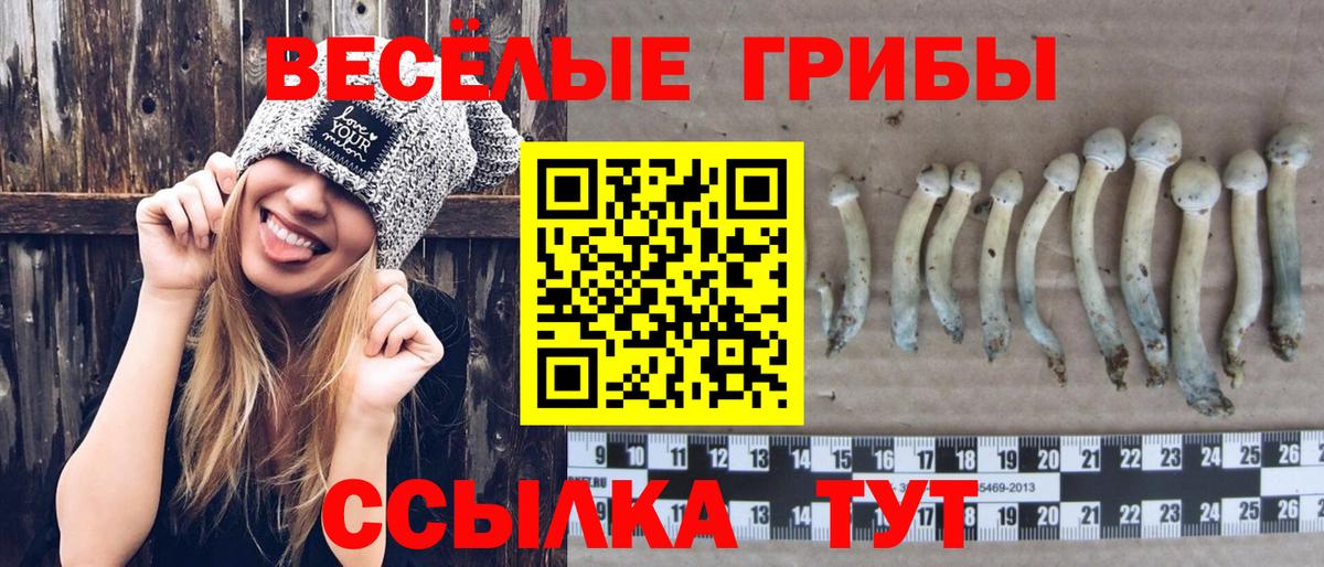 Еманжелинск  Галлюциногенные грибы Psilocybe  Вход с VPN 